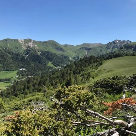 Dore - T3 Pres De L'hyper Centre - Fr-1-608-84 Lejlighed *