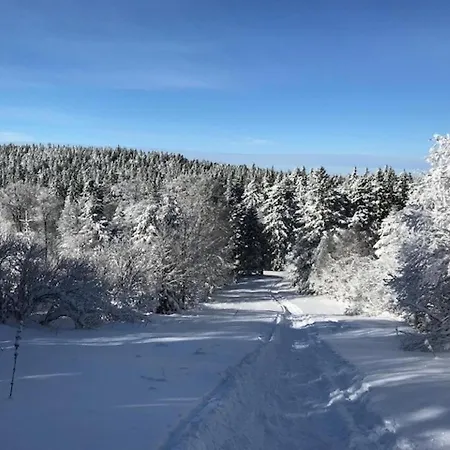 Dore - T3 Pres De L'hyper Centre - Fr-1-608-84 *