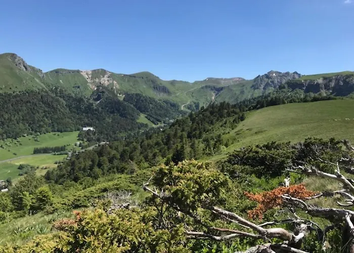 Dore - T3 Pres De L'hyper Centre - Fr-1-608-84 Apartamento *