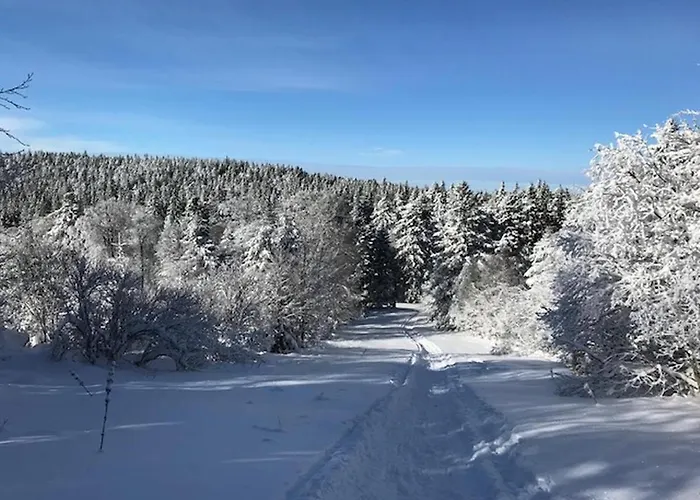 Dore - T3 Pres De L'hyper Centre - Fr-1-608-84 *