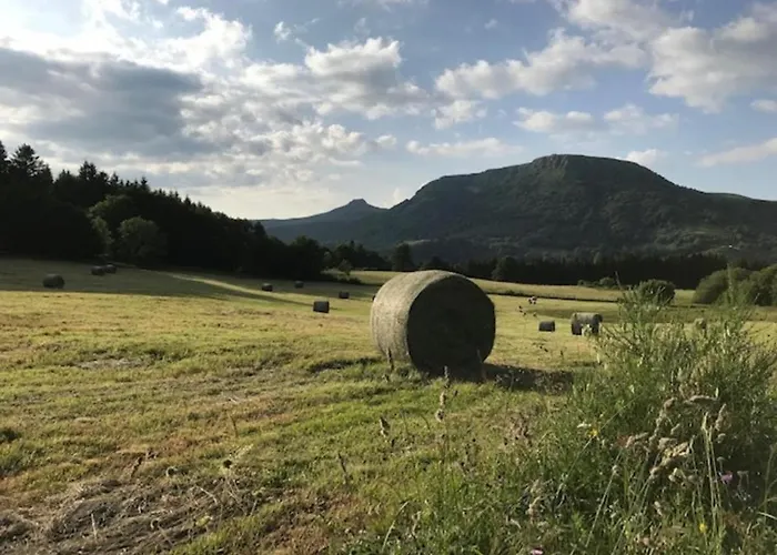 Apartamento Dore - T3 Pres De L'hyper Centre - Fr-1-608-84 *